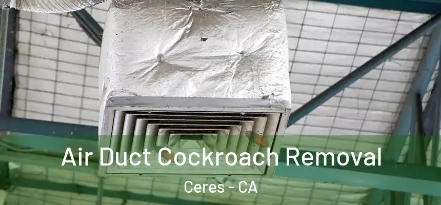 Air Duct Cockroach Removal Ceres - CA