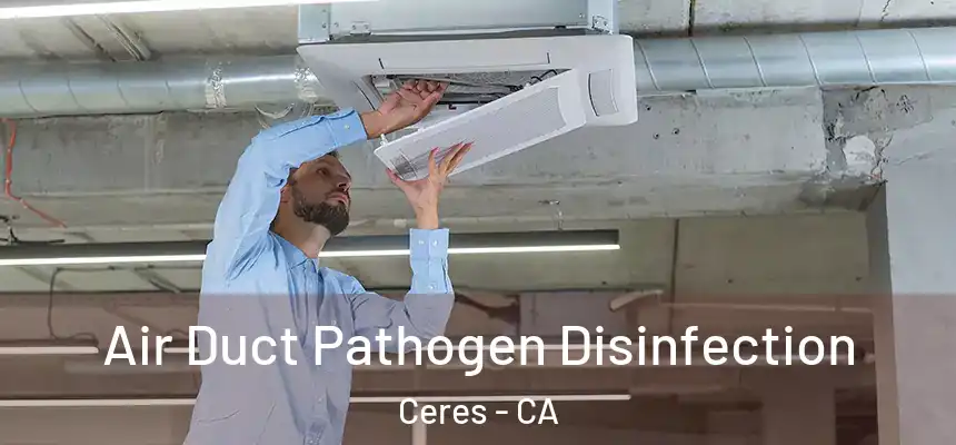 Air Duct Pathogen Disinfection Ceres - CA