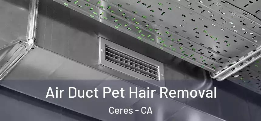 Air Duct Pet Hair Removal Ceres - CA