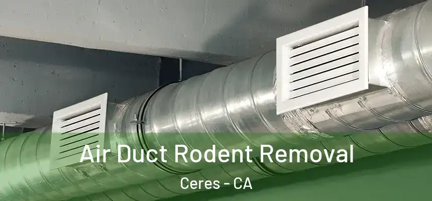 Air Duct Rodent Removal Ceres - CA
