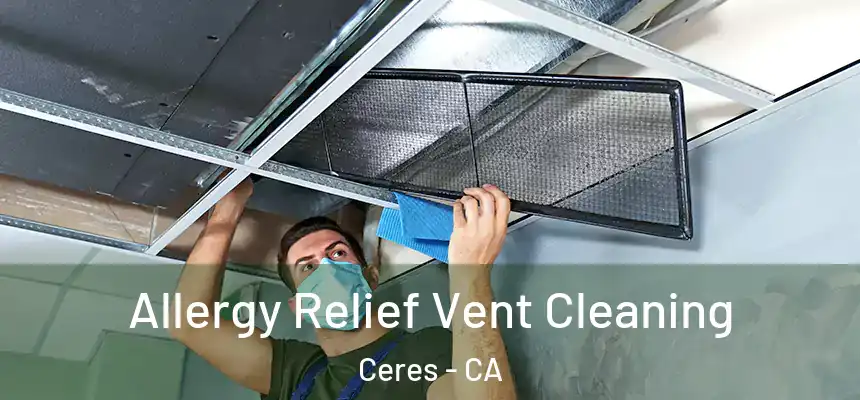Allergy Relief Vent Cleaning Ceres - CA