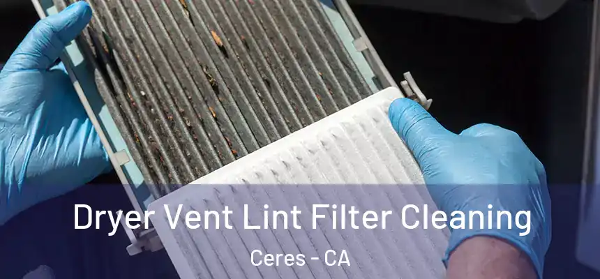Dryer Vent Lint Filter Cleaning Ceres - CA