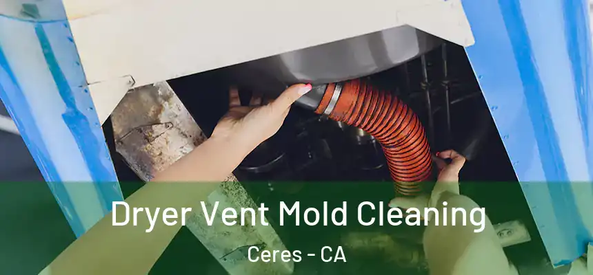 Dryer Vent Mold Cleaning Ceres - CA
