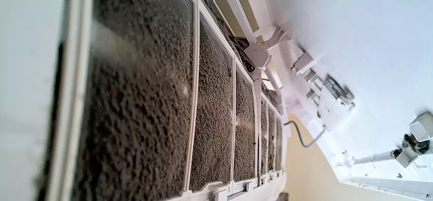 Preventive Air Duct Bacteria Removal in Ceres