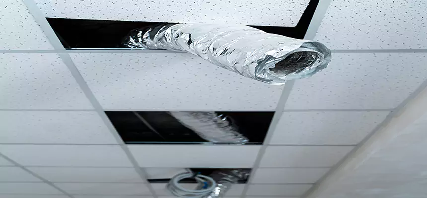 Our Air Duct Pet Hair Removal Services in Ceres, CA