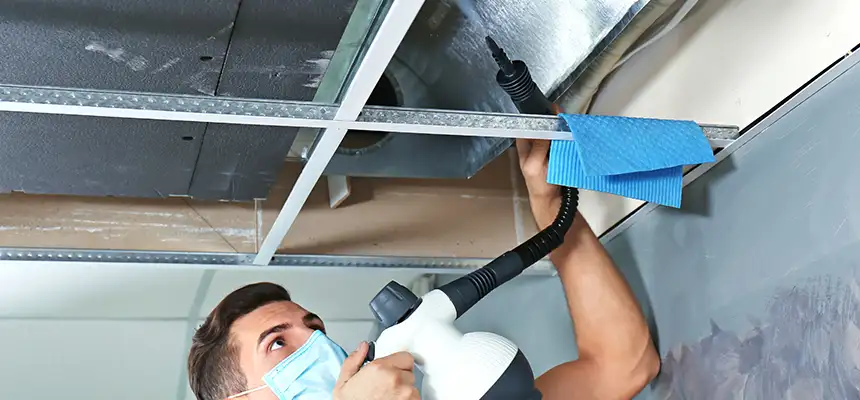 Our Air Duct Rodent Removal Services in Ceres, CA