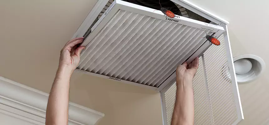Our Insect Removal from Air Ducts Services in Ceres, CA