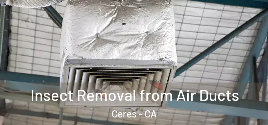 Insect Removal from Air Ducts Ceres - CA