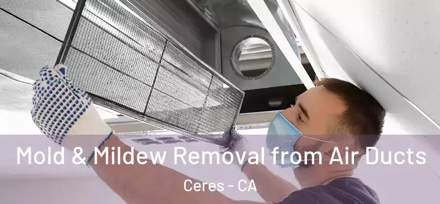 Mold & Mildew Removal from Air Ducts Ceres - CA