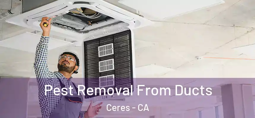 Pest Removal From Ducts Ceres - CA