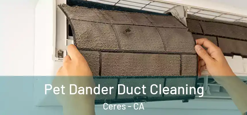 Pet Dander Duct Cleaning Ceres - CA