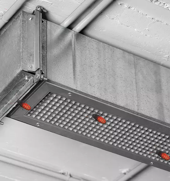 Affordable Insect Removal from Air Ducts in Ceres, CA