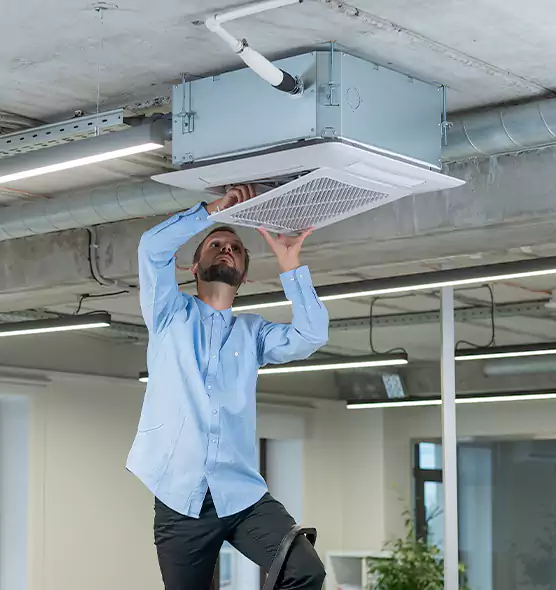 Advanced Rodent Droppings In Vents in Ceres, CA