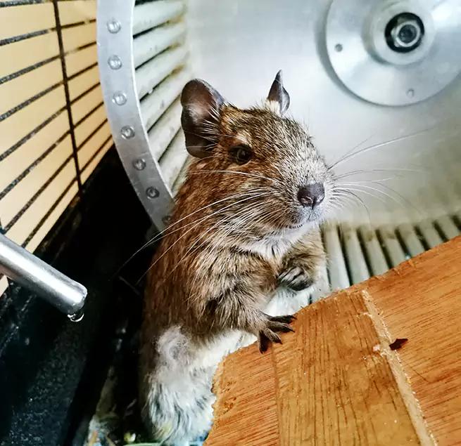 Why Homeowners & Businesses Trust Us Ceres, CA