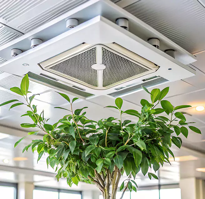 Why Homeowners & Businesses Trust Us in Ceres, CA?