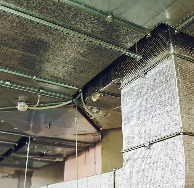 Why Homeowners & Businesses Trust Us in Ceres, CA?